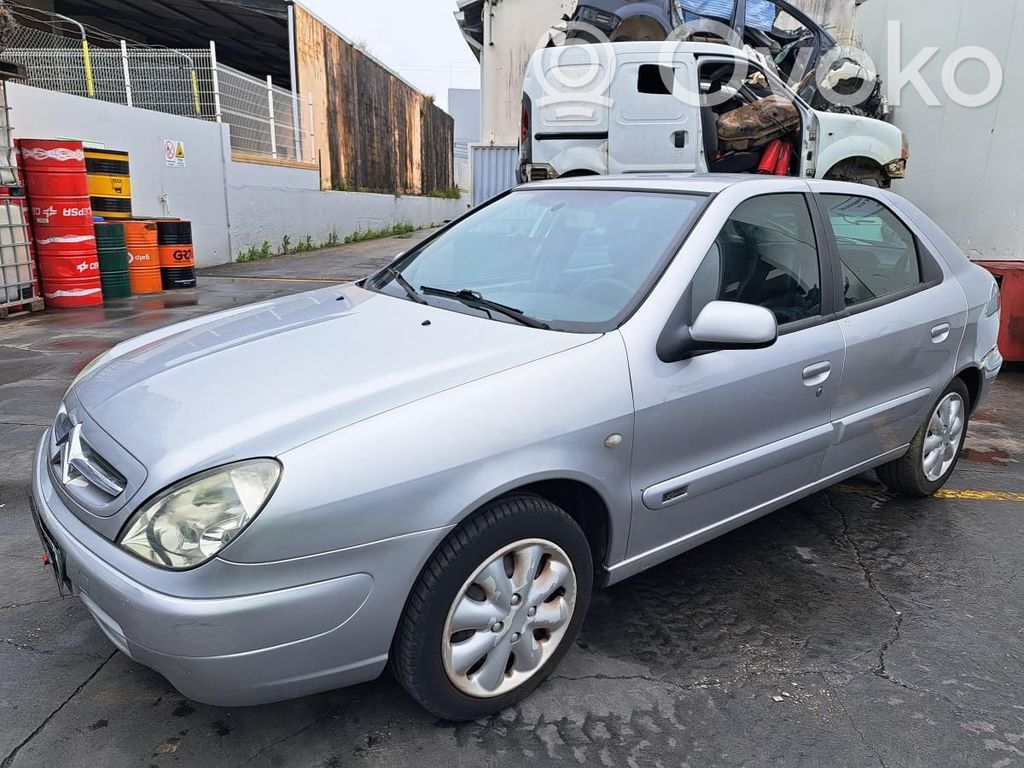 Xsara Xsara, Xsara Picasso