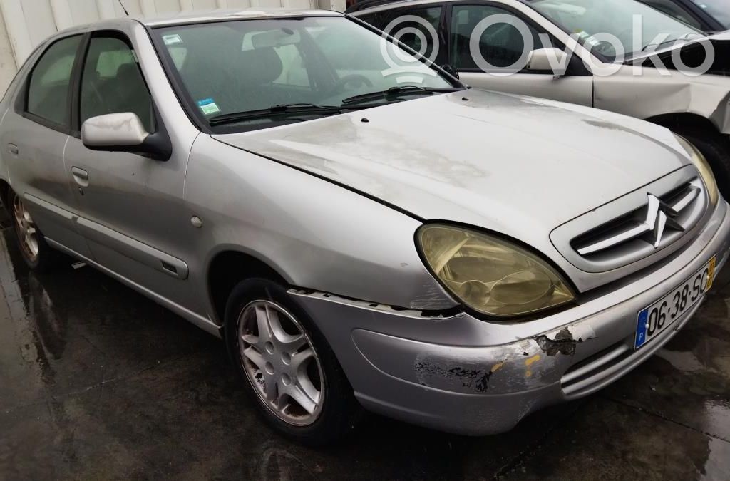 Xsara Xsara, Xsara Picasso