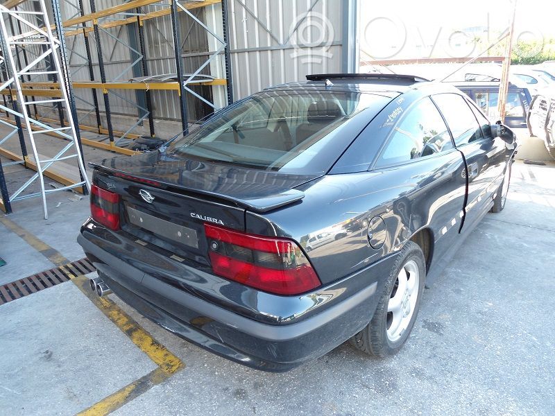 Calibra Calibra