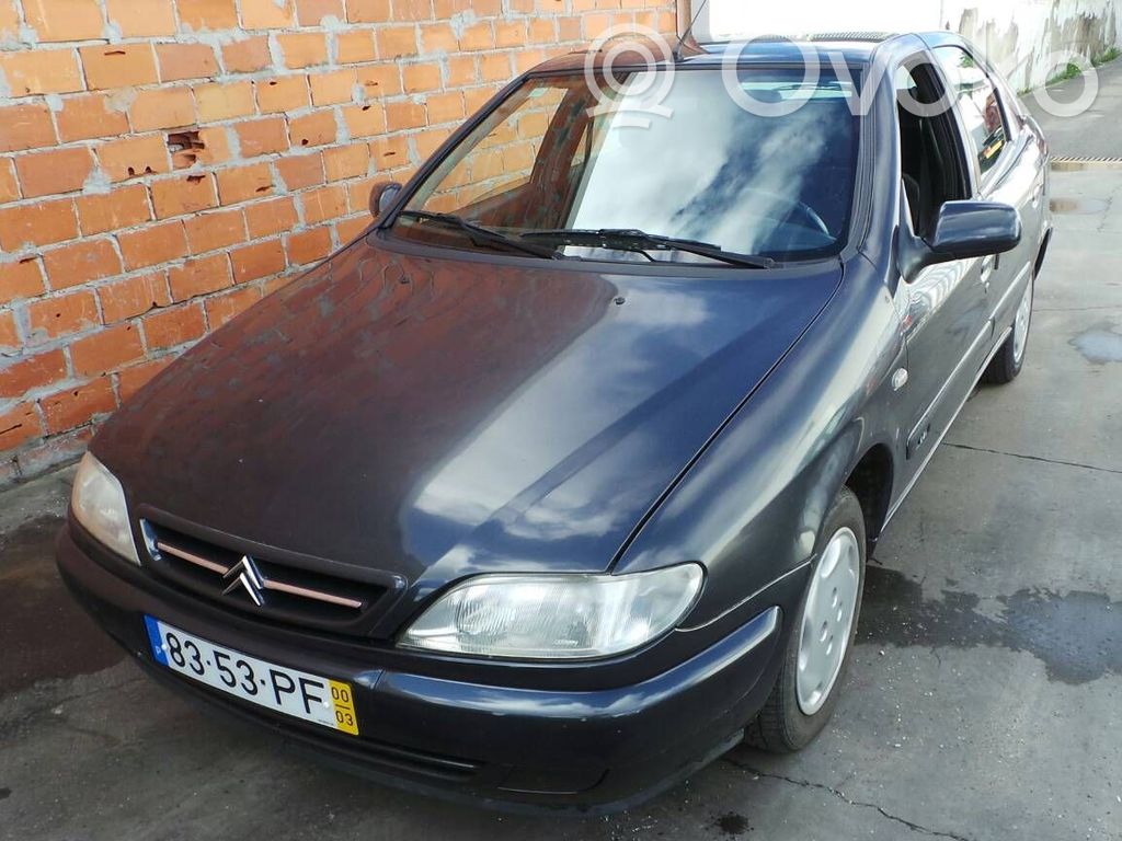 Xsara Xsara, Xsara Picasso