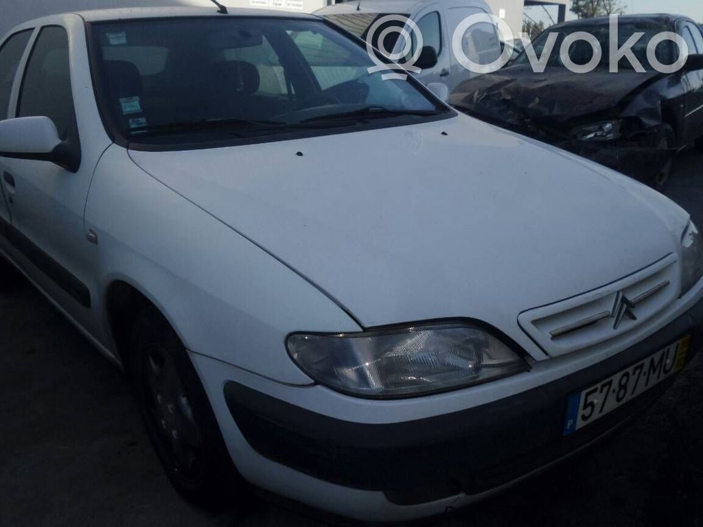 Xsara Xsara, Xsara Picasso