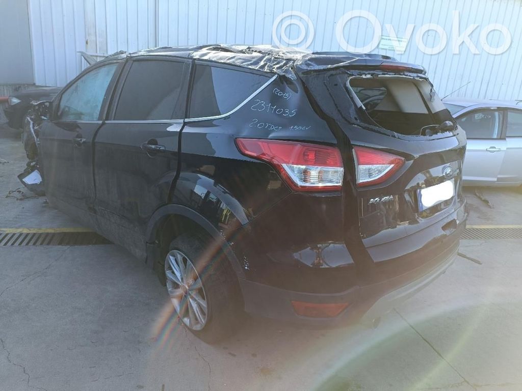 Kuga II Kuga