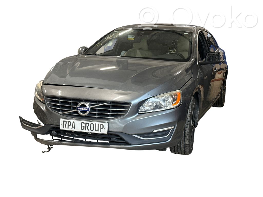 S60 S60  31343872