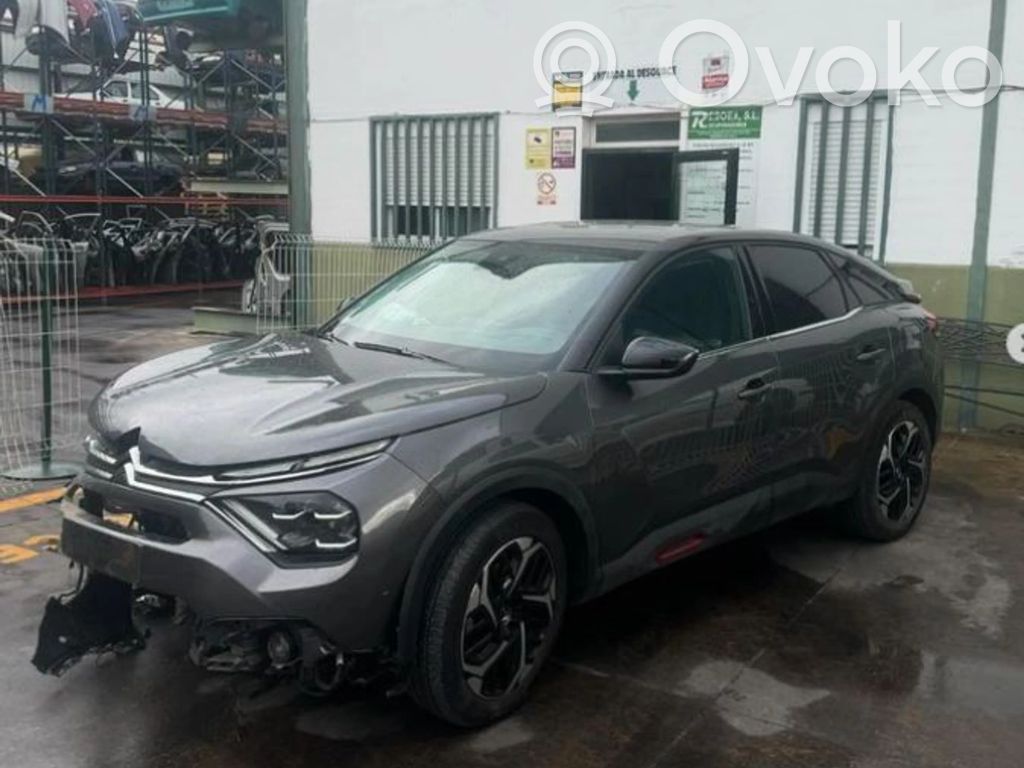 C4 III e-C4 C4 Picasso, Grand Picasso, Aircross, Cactus  9831693780