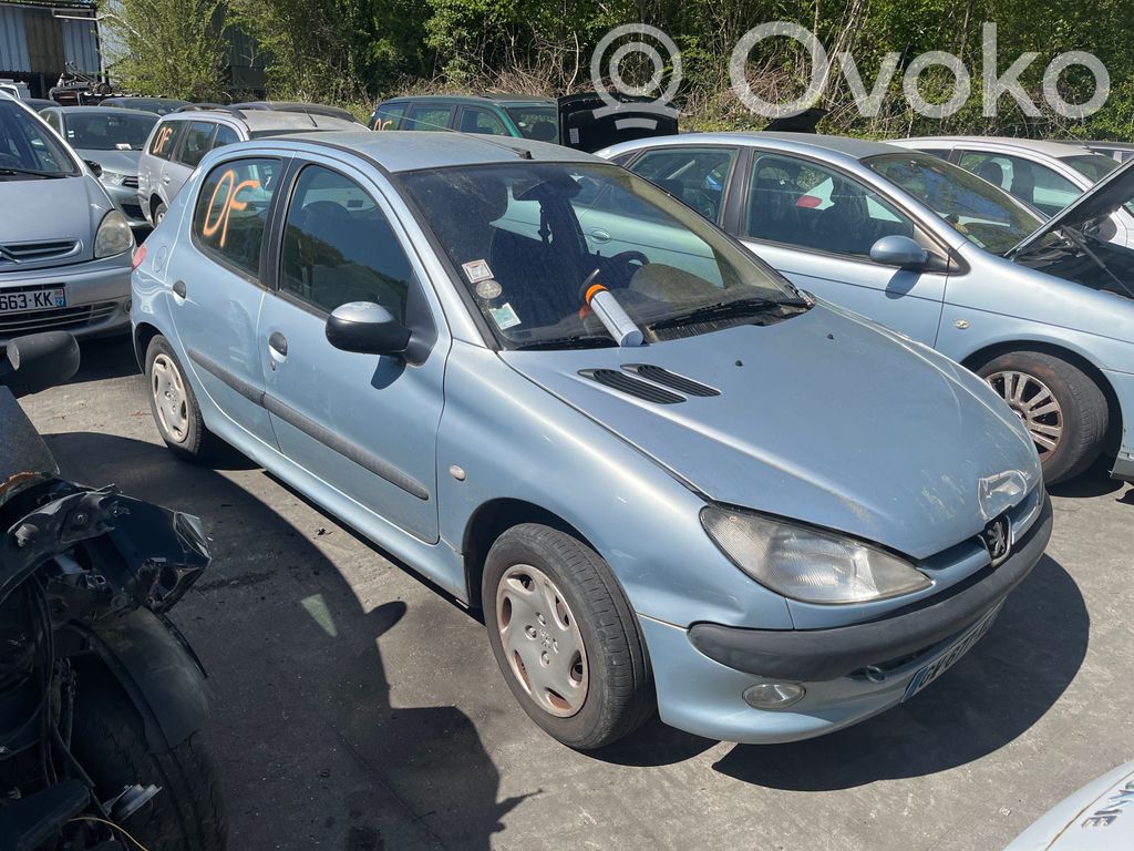 206 206, 206+  9642013980