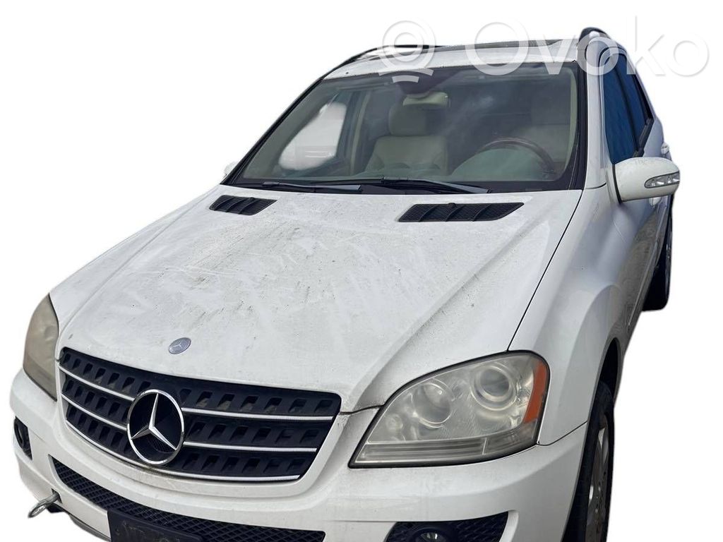 ML W164 ML-class, AMG (W163, W164, W166)