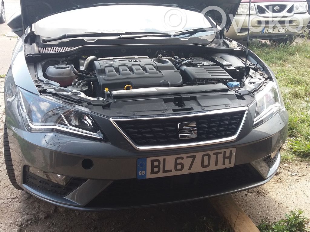 Leon (5F) Leon  03350887151