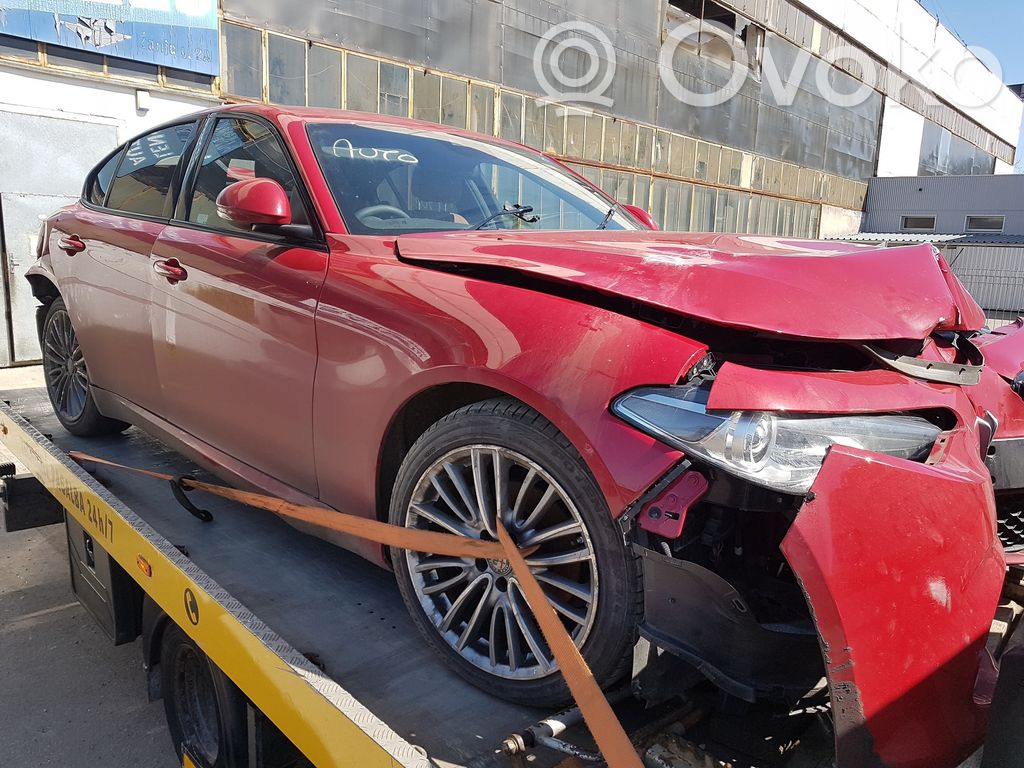 Giulia Giulia  50554265