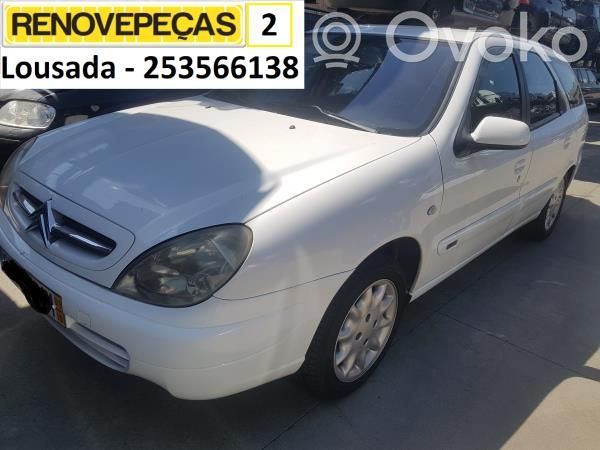 Xsara Xsara, Xsara Picasso