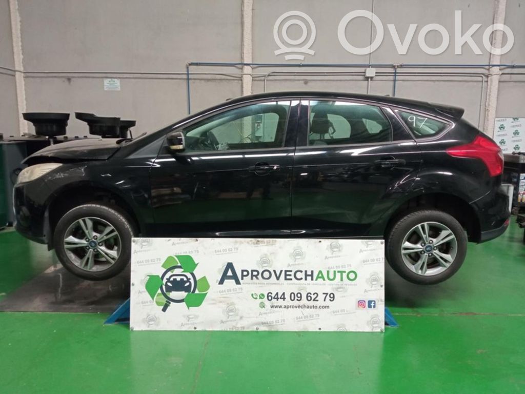 Focus Focus  AV613B437CC