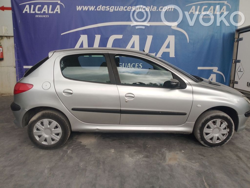 206 206, 206+  9648201580