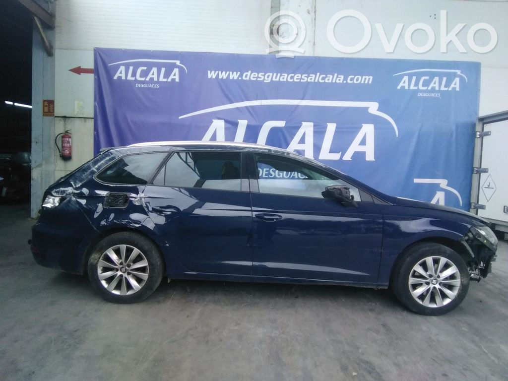Leon (5F) Leon