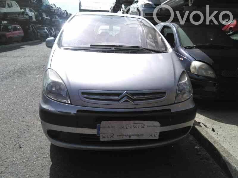 Xsara Xsara, Xsara Picasso