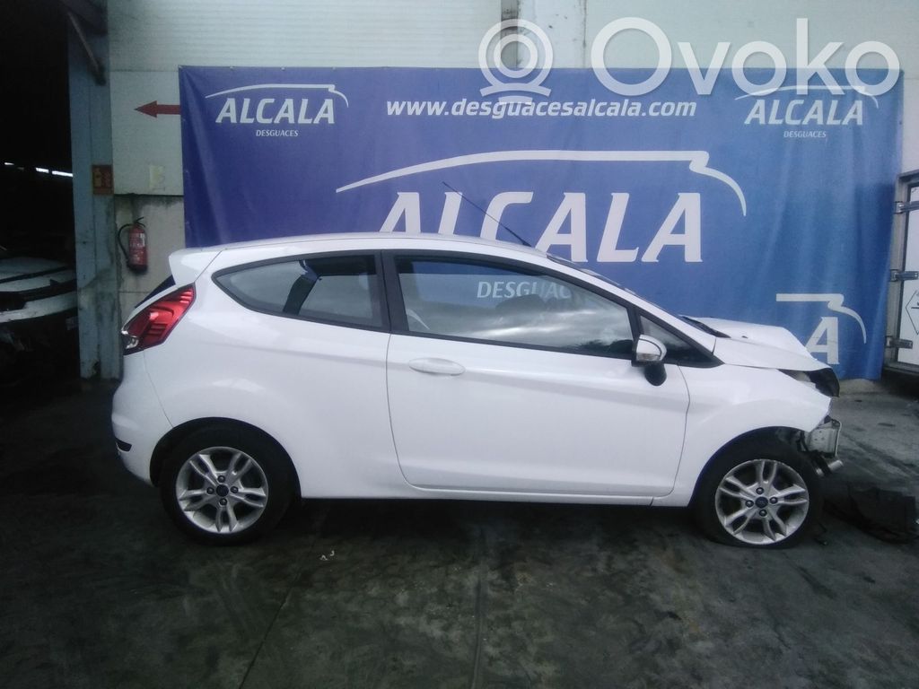 Fiesta Fiesta  1910652