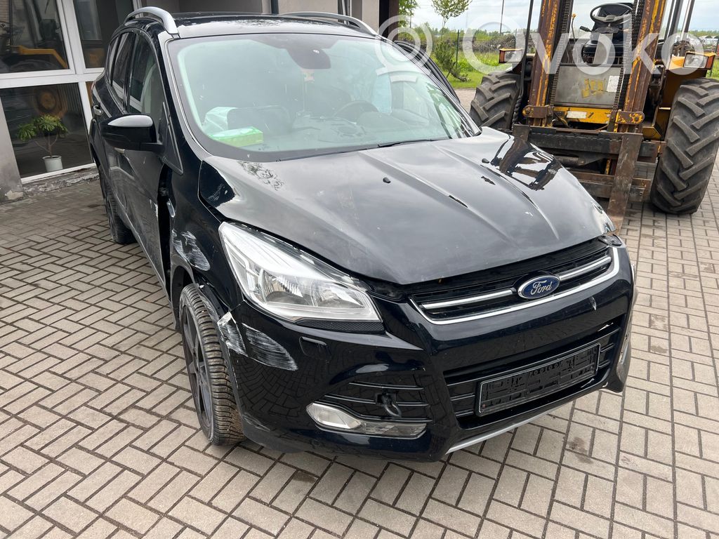 Kuga II Kuga  EJ738005A