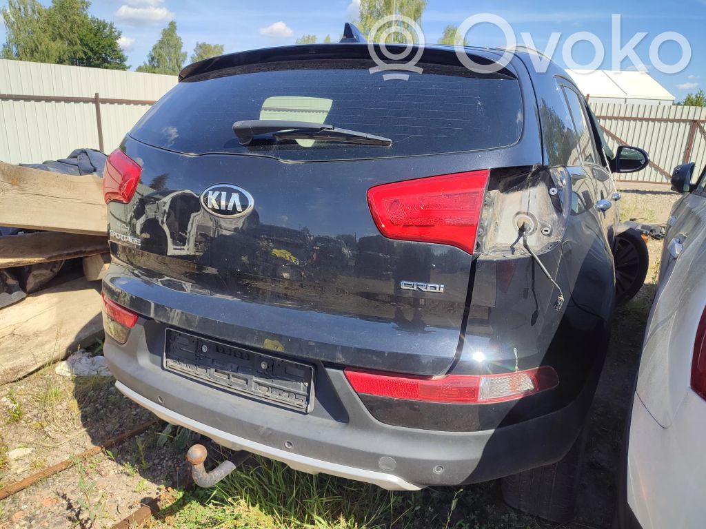 Sportage Sportage  963303W100