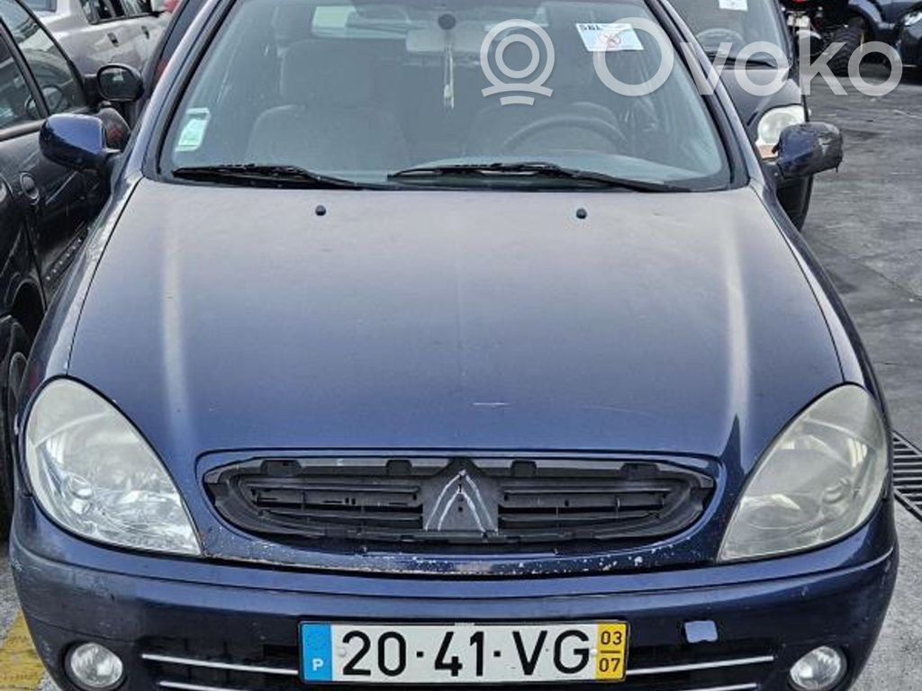 Xsara Xsara, Xsara Picasso