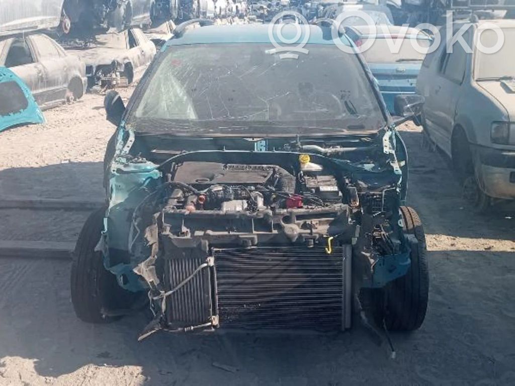 C4 Cactus C4 Picasso, Grand Picasso, Aircross, Cactus  P1002942