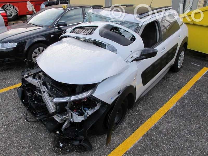 C4 Cactus C4 Picasso, Grand Picasso, Aircross, Cactus  9802856980