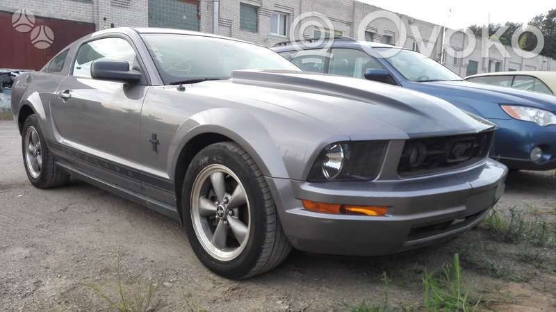Mustang V Mustang  5F933F880A