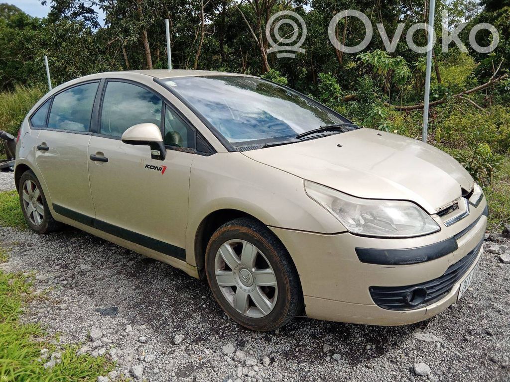 C4 I C4 Picasso, Grand Picasso, Aircross, Cactus  E541
