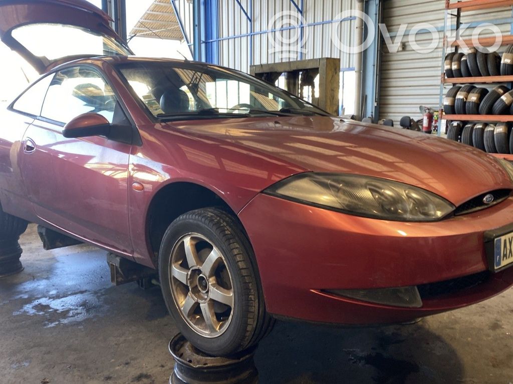 Cougar Cougar  1138450