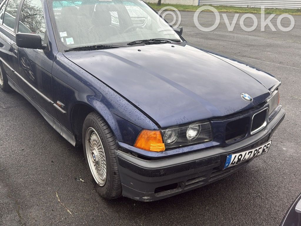 3 E36 Series 3  41518185797