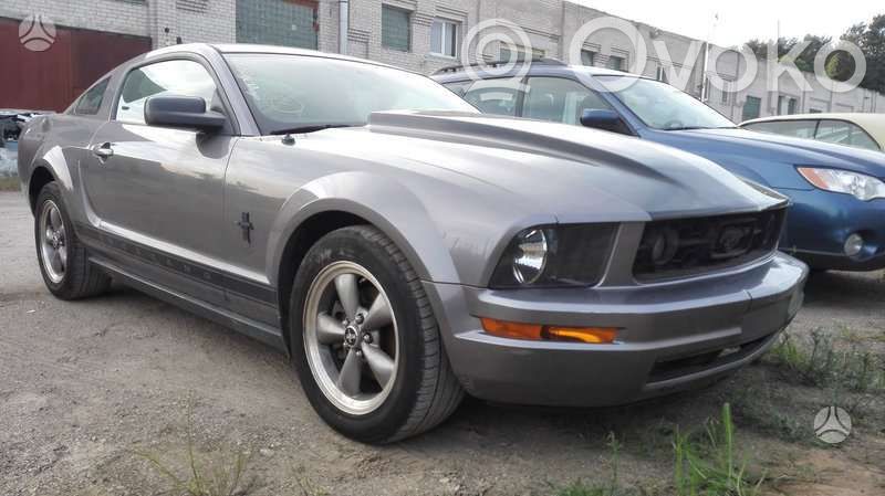 Mustang V Mustang  5C5A9F472A1A