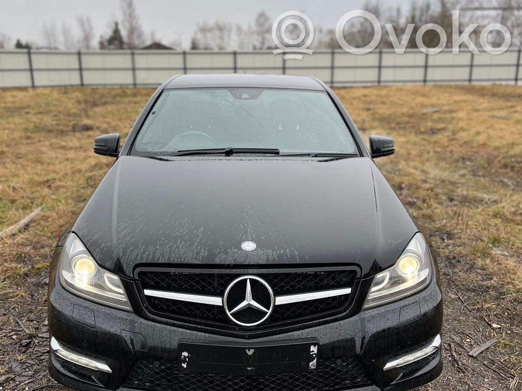 C W204 C-class, AMG (W202, W203, W204, W205, W206)  A2046200185