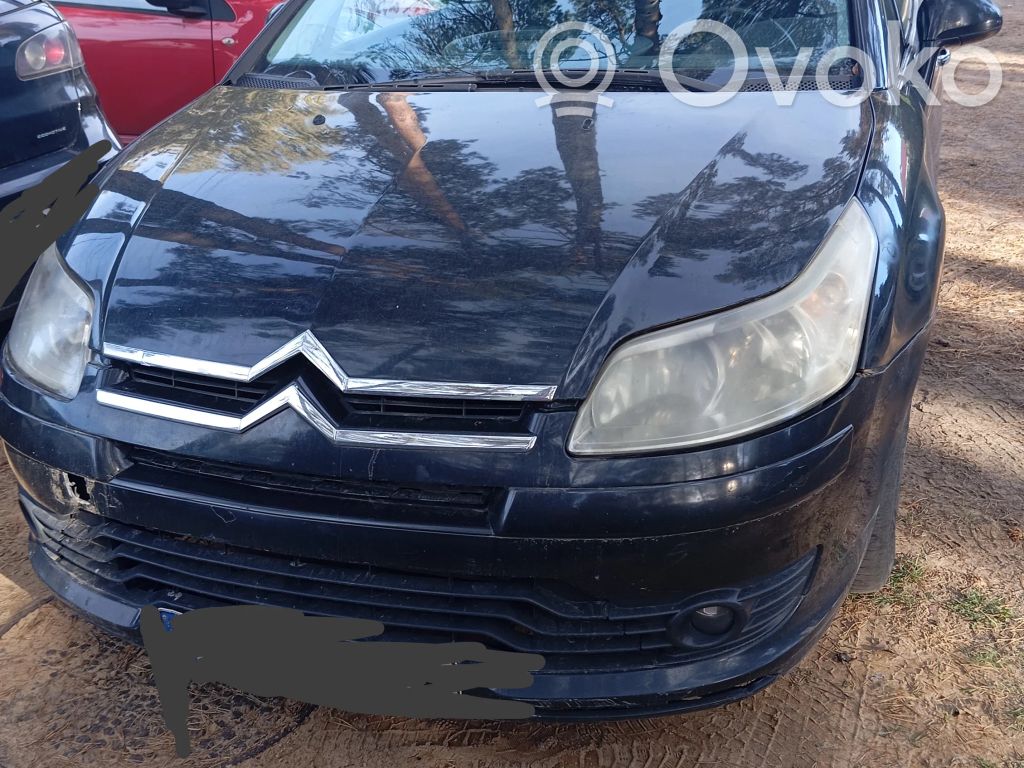 C4 I C4 Picasso, Grand Picasso, Aircross, Cactus  687940