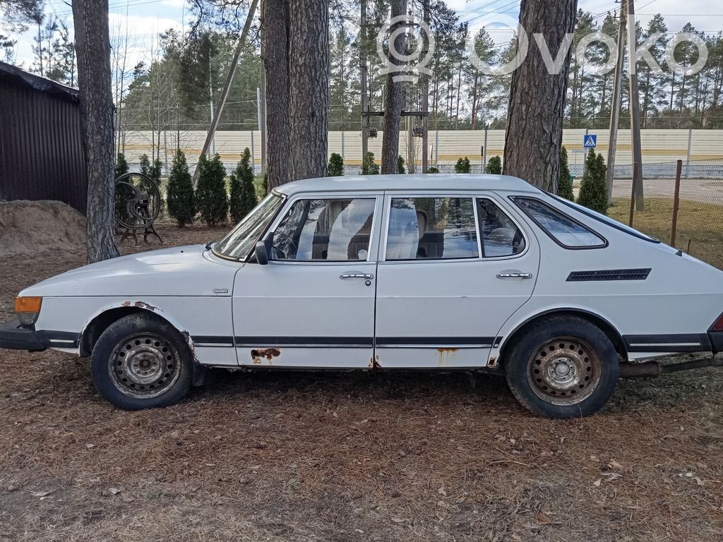 900 900