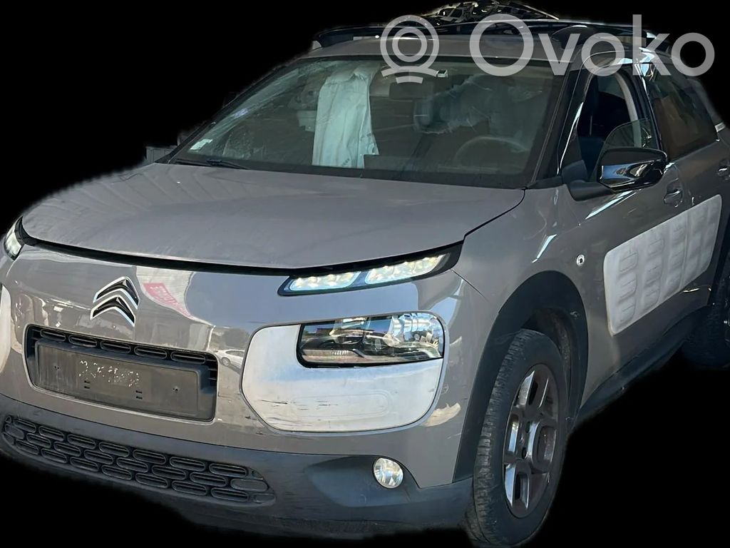 C4 Cactus C4 Picasso, Grand Picasso, Aircross, Cactus
