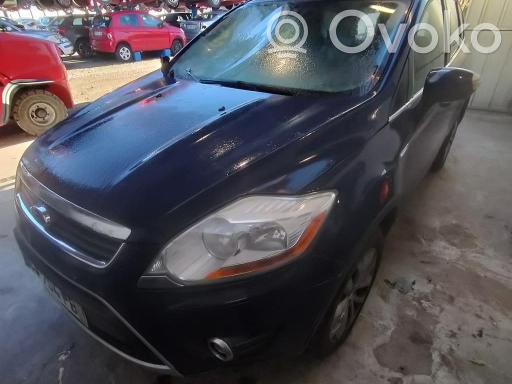Kuga I Kuga  1376305