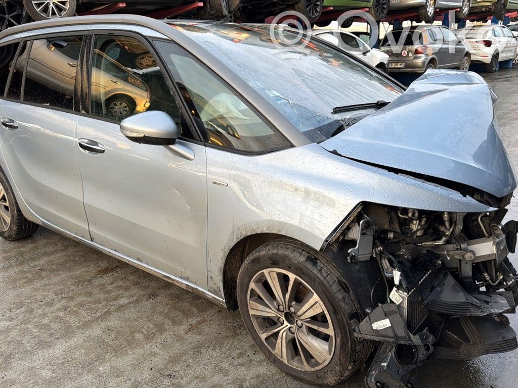 C4 Grand Picasso C4 Picasso, Grand Picasso, Aircross, Cactus  1636259280