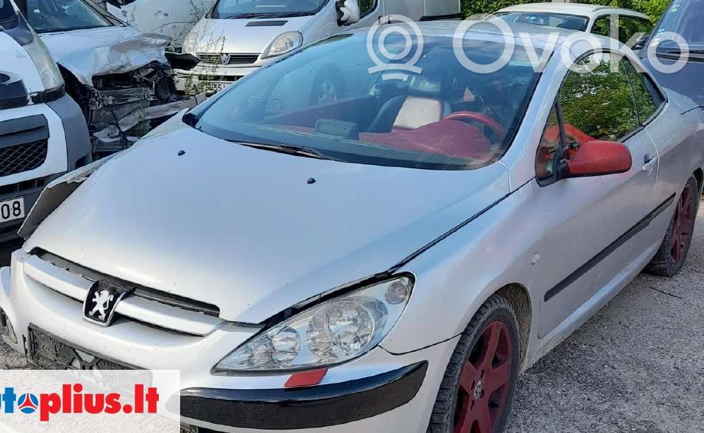 307 CC 307  96366695