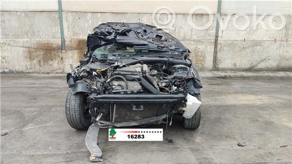 Leon (5F) Leon  CYV