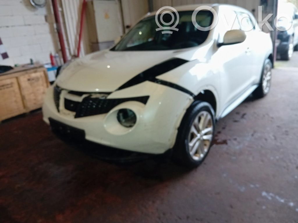 Juke I F15 Juke  1010200Q7HEX