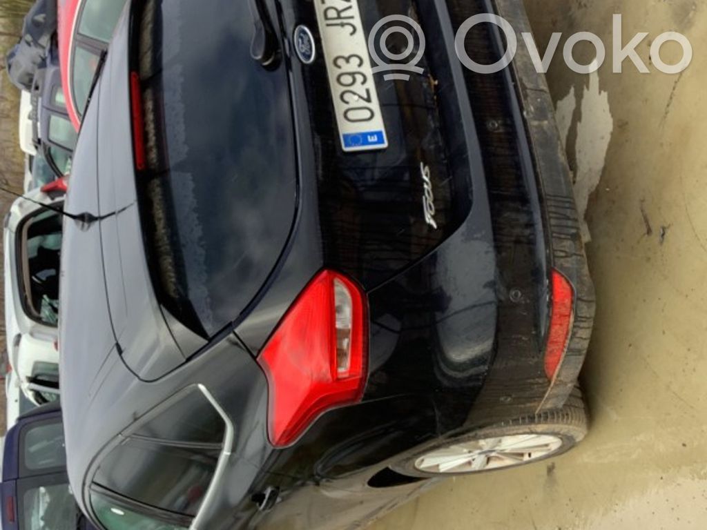 Focus Focus  138003