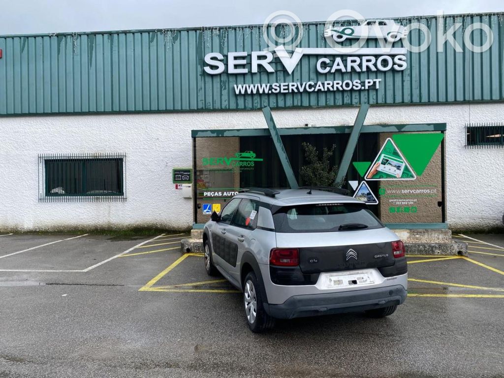 C4 Cactus C4 Picasso, Grand Picasso, Aircross, Cactus