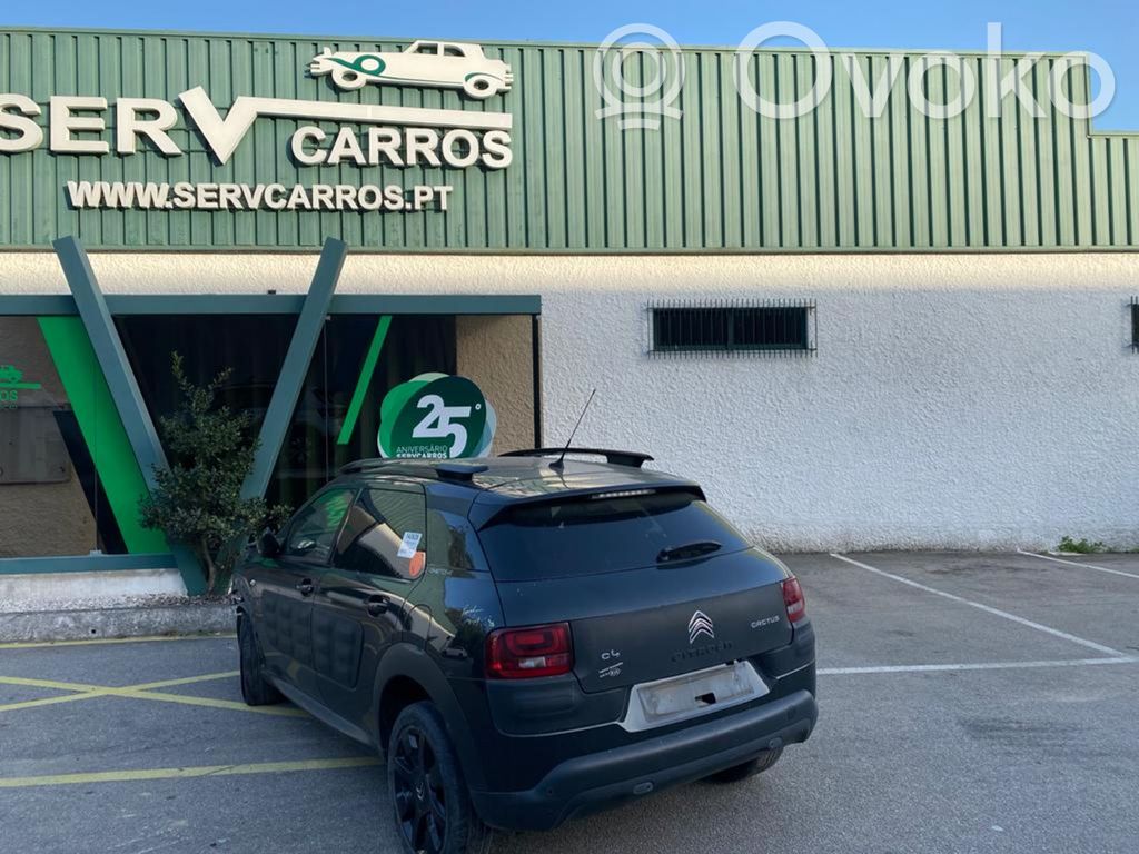 C4 Cactus C4 Picasso, Grand Picasso, Aircross, Cactus