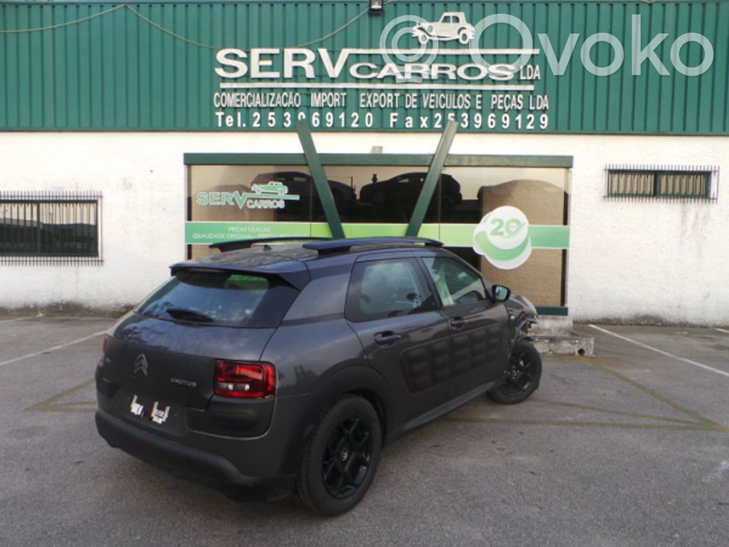 C4 Cactus C4 Picasso, Grand Picasso, Aircross, Cactus