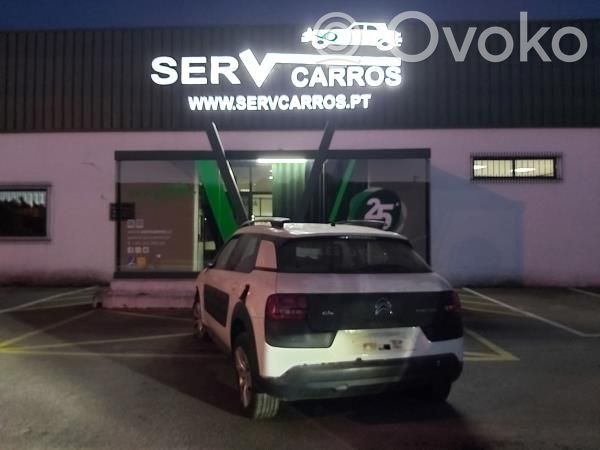 C4 Cactus C4 Picasso, Grand Picasso, Aircross, Cactus