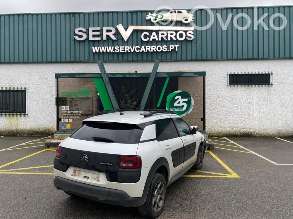 C4 Cactus C4 Picasso, Grand Picasso, Aircross, Cactus