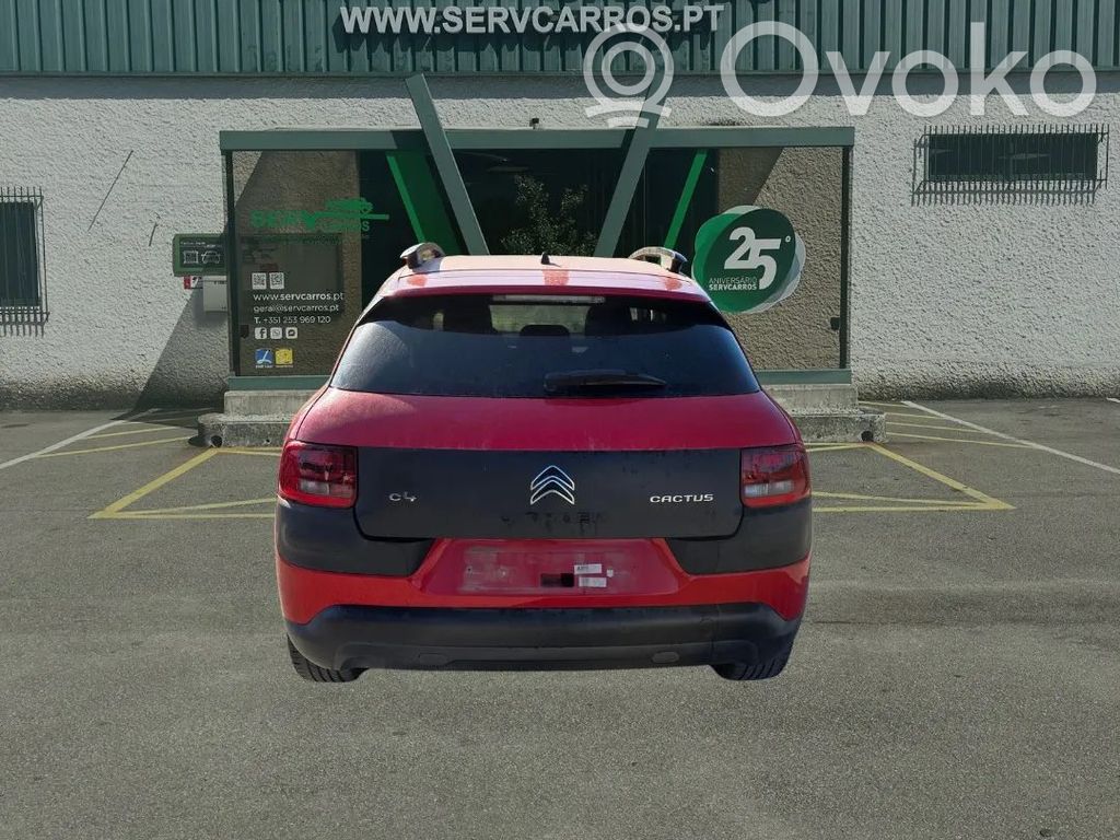 C4 Cactus C4 Picasso, Grand Picasso, Aircross, Cactus