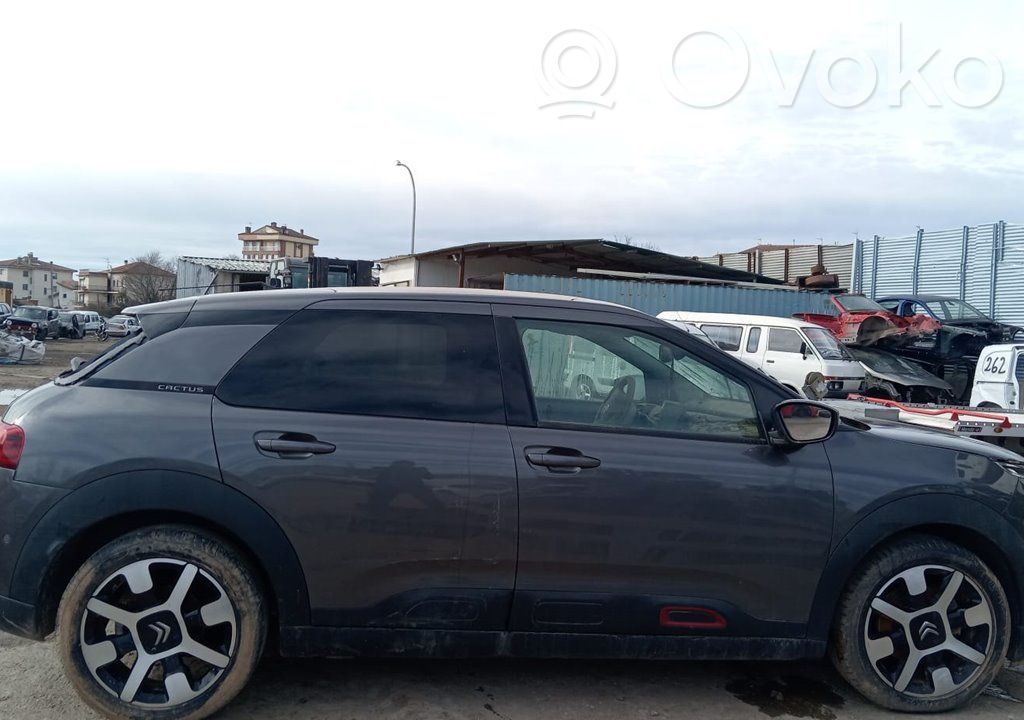 C4 Cactus C4 Picasso, Grand Picasso, Aircross, Cactus