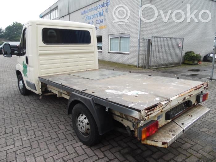 Boxer Boxer  370182