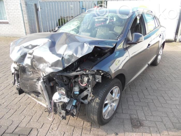 Megane III Megane  807310596R