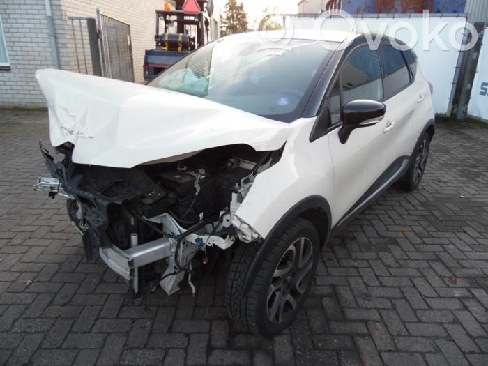 Captur Captur  255405718R