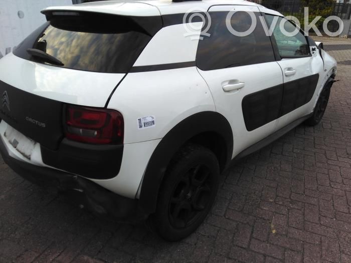 C4 Cactus C4 Picasso, Grand Picasso, Aircross, Cactus  9811207980