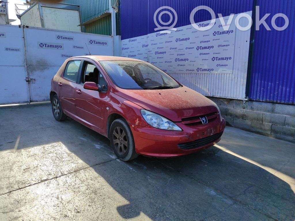 307 307  5WS40145AT